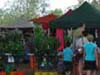 COOLALINGA RURAL MARKET